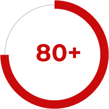 80 plus
